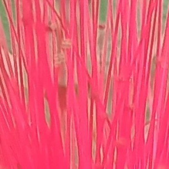 B T